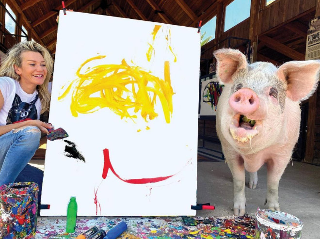 Pigcasso - the first pig artist ever!