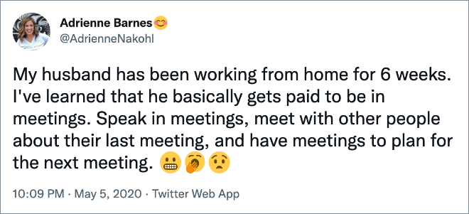 My husband has been working from home for 6 weeks. I've learned that he basically gets paid to be in meetings. Speak in meetings, meet with other people about their last meeting, and have meetings to plan for the next meeting.