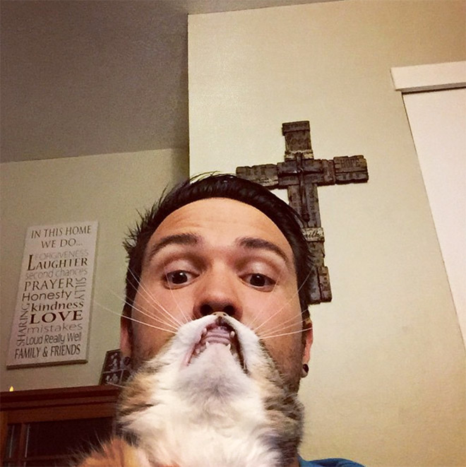 Cat beard.