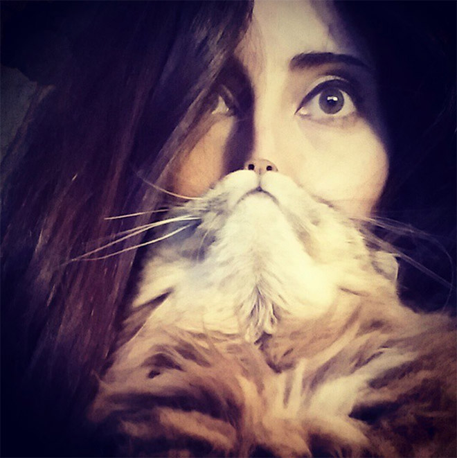 The Best of #CatBeards Instagram Trend