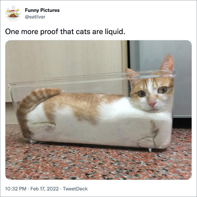 One more proof that cats are liquid.