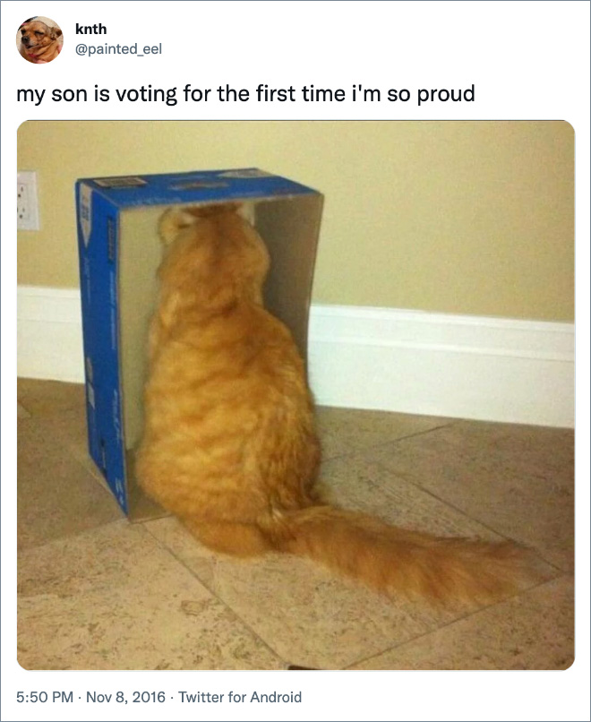 my son is voting for the first time i'm so proud