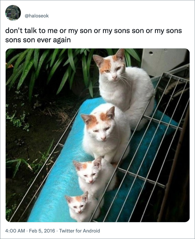 don't talk to me or my son or my sons son or my sons sons son ever again