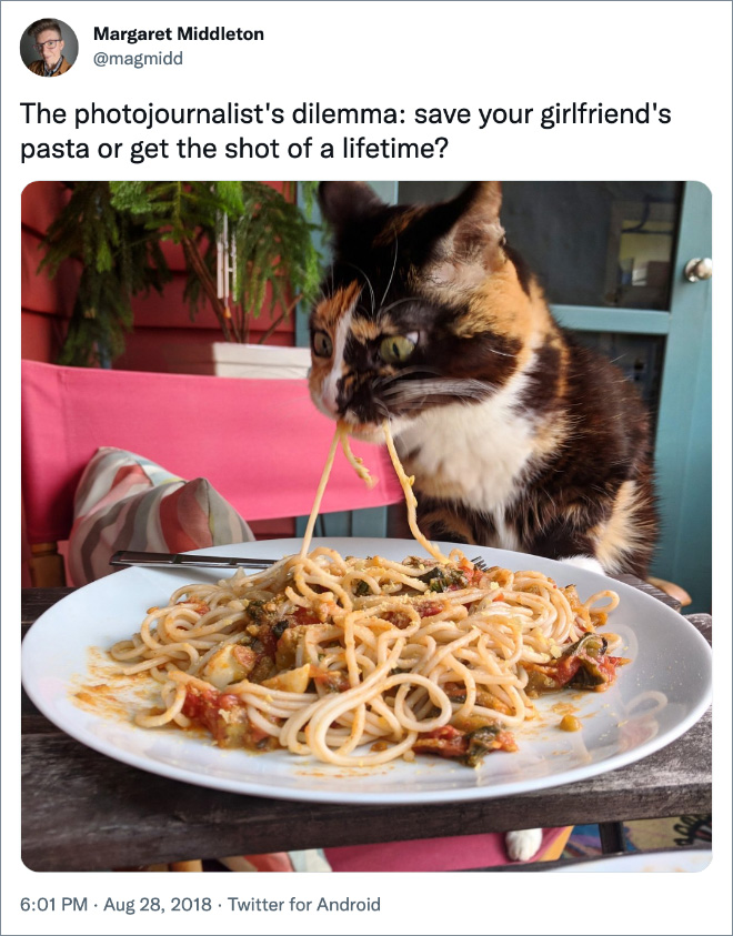 The photojournalist's dilemma: save your girlfriend's pasta or get the shot of a lifetime?