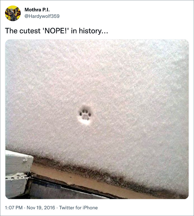 The cutest 'NOPE!' in history...