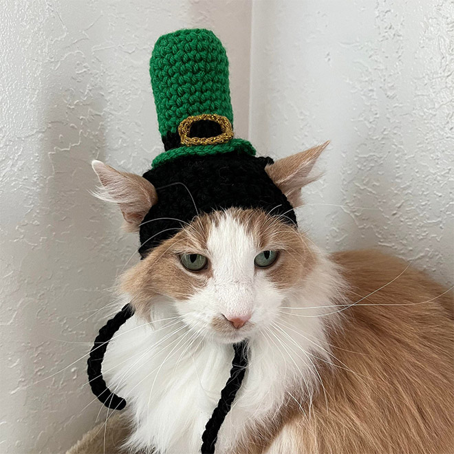 Green cat hat.