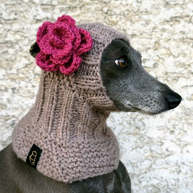 Beautiful dog hat.