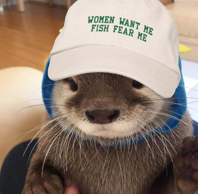 Otter in a hat.