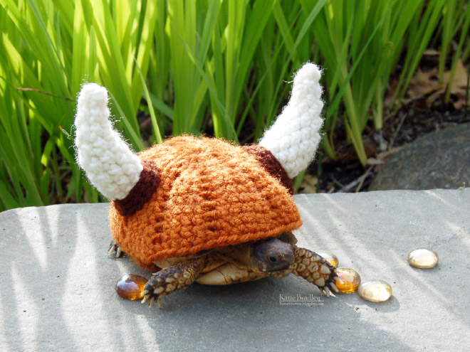 Tortoise fashion statement.