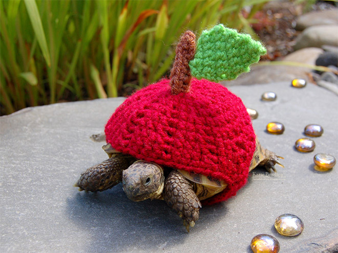 Tortoise fashion statement.