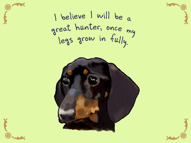 Pet confession.