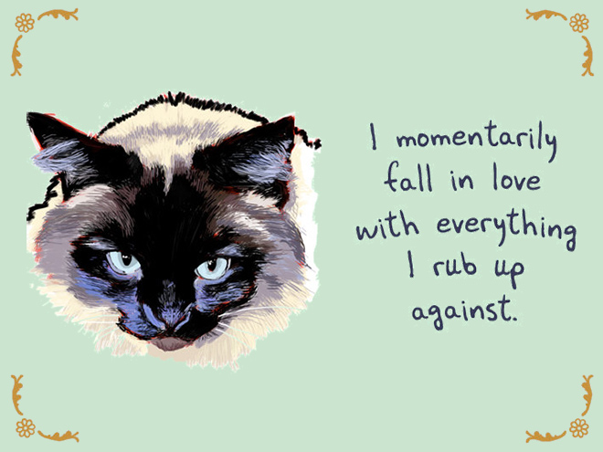 Pet confession.