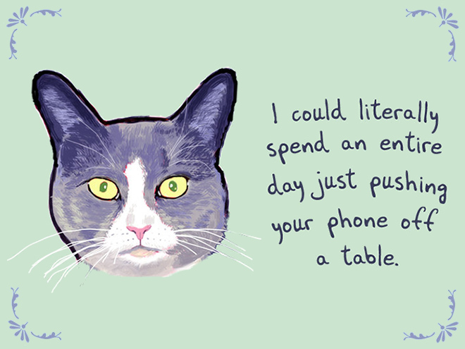 Pet confession.