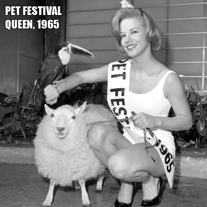 Unusual beauty pageant.