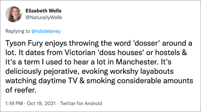 Tyson Fury enjoys throwing the word 'dosser' around a lot. It dates from Victorian 'doss houses' or hostels & it's a term I used to hear a lot in Manchester. It's deliciously pejorative, evoking workshy layabouts watching daytime TV & smoking considerable amounts of reefer.