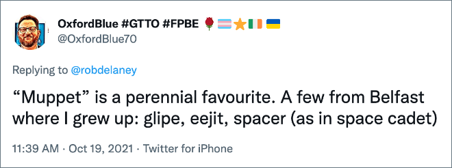 “Muppet” is a perennial favourite. A few from Belfast where I grew up: glipe, eejit, spacer (as in space cadet)