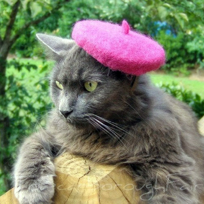 Pink cat hat.