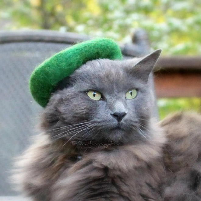 Cat hats are the best thing that has ever happened to fashion.