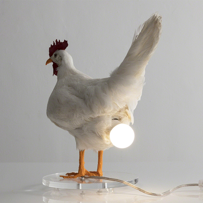 Chicken lamp.