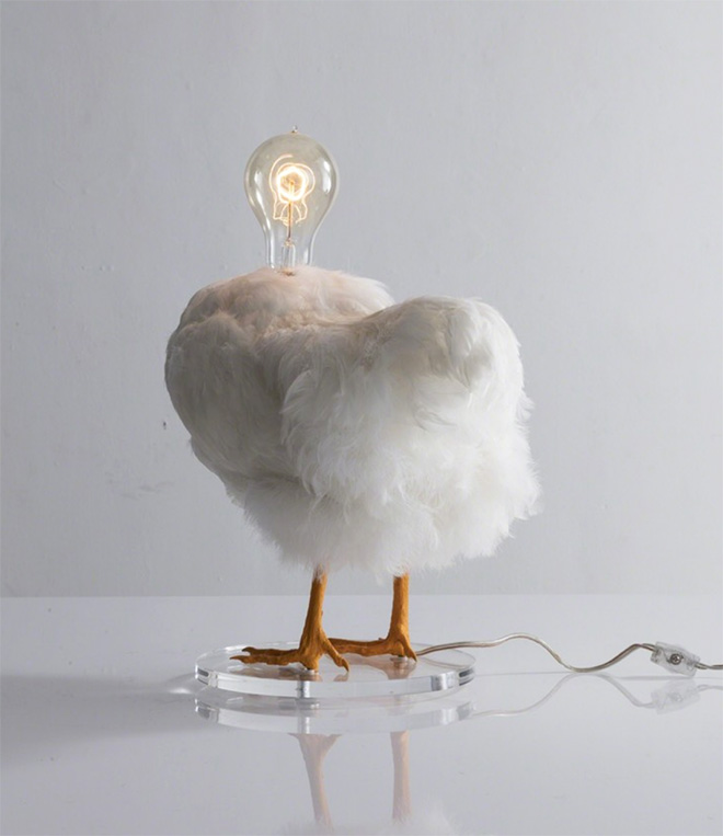 Chicken lamp.