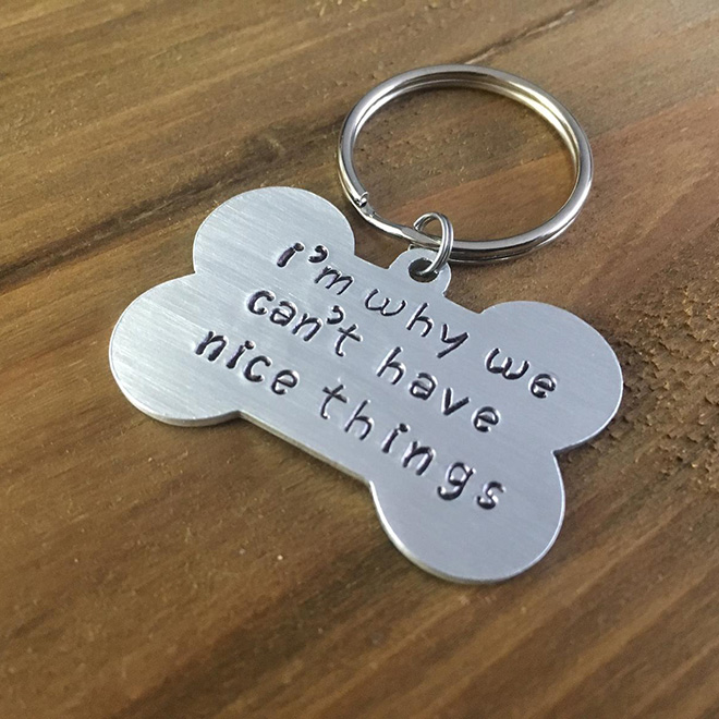 Funny dog tag.