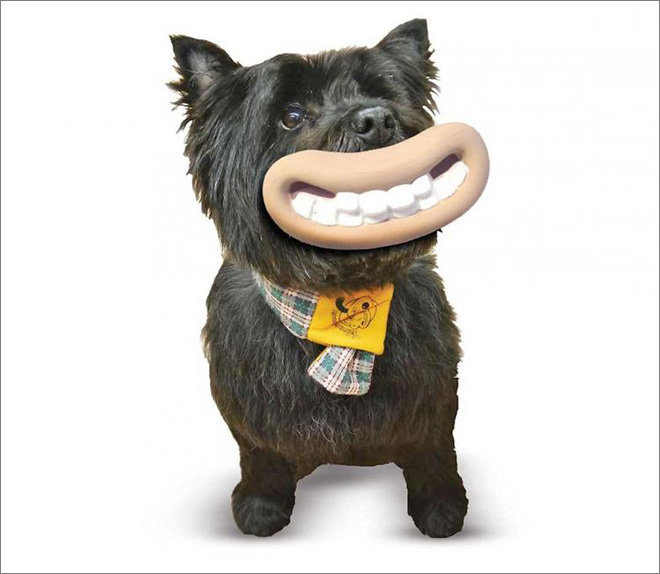 Wallace and Gromit dog toy.