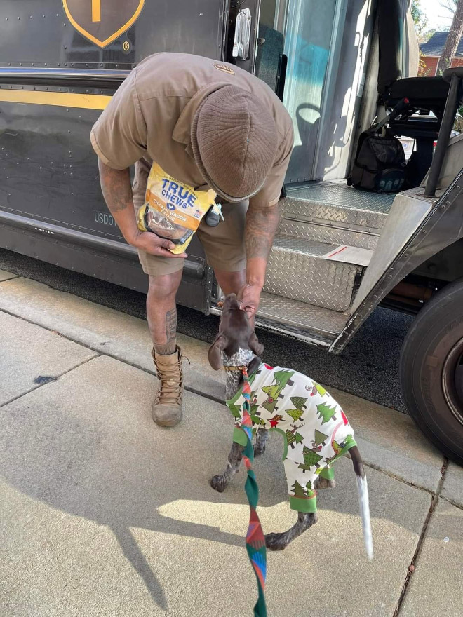 Sometimes UPS drivers meet awesome dogs...