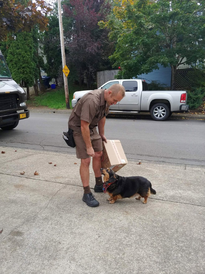 Sometimes UPS drivers meet awesome dogs...