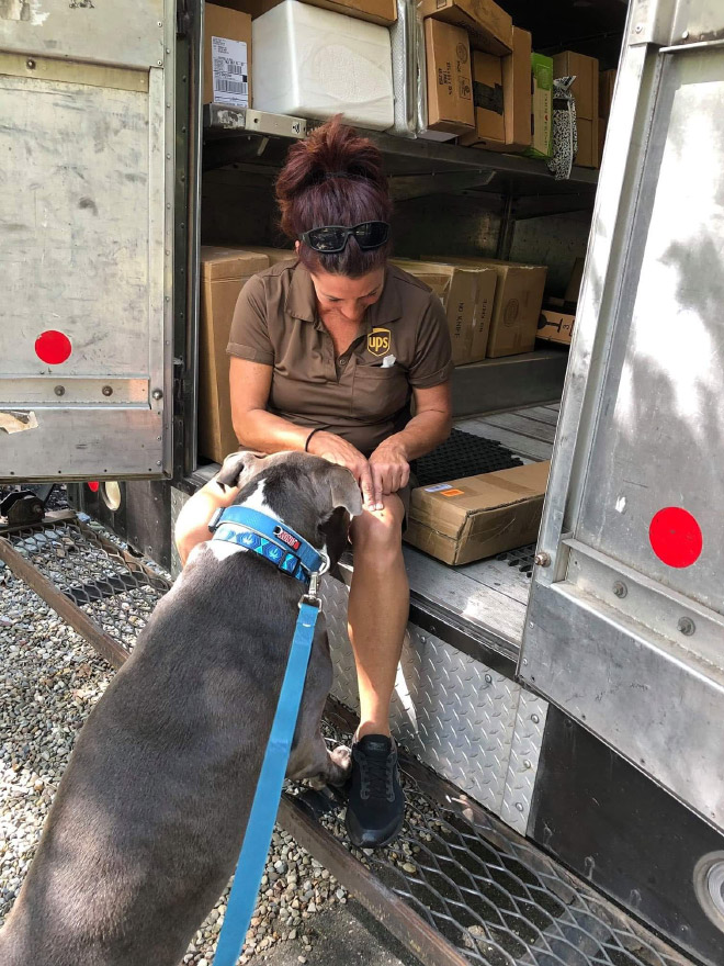 Sometimes UPS drivers meet awesome dogs...