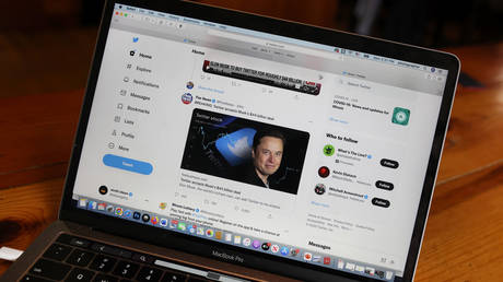 White House frets over Musk-owned Twitter