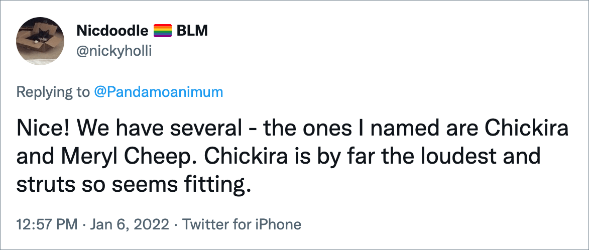 Nice! We have several - the ones I named are Chickira and Meryl Cheep. Chickira is by far the loudest and struts so seems fitting.