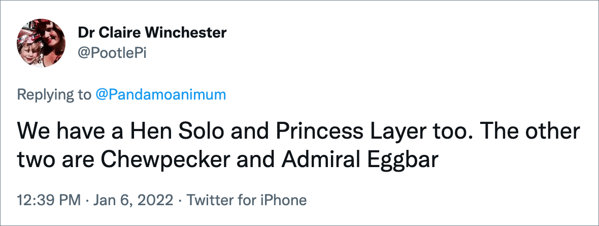 We have a Hen Solo and Princess Layer too. The other two are Chewpecker and Admiral Eggbar