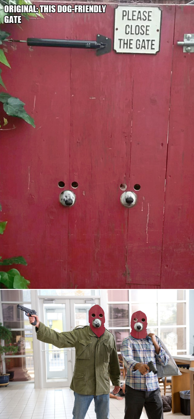 This dog-friendly gate.