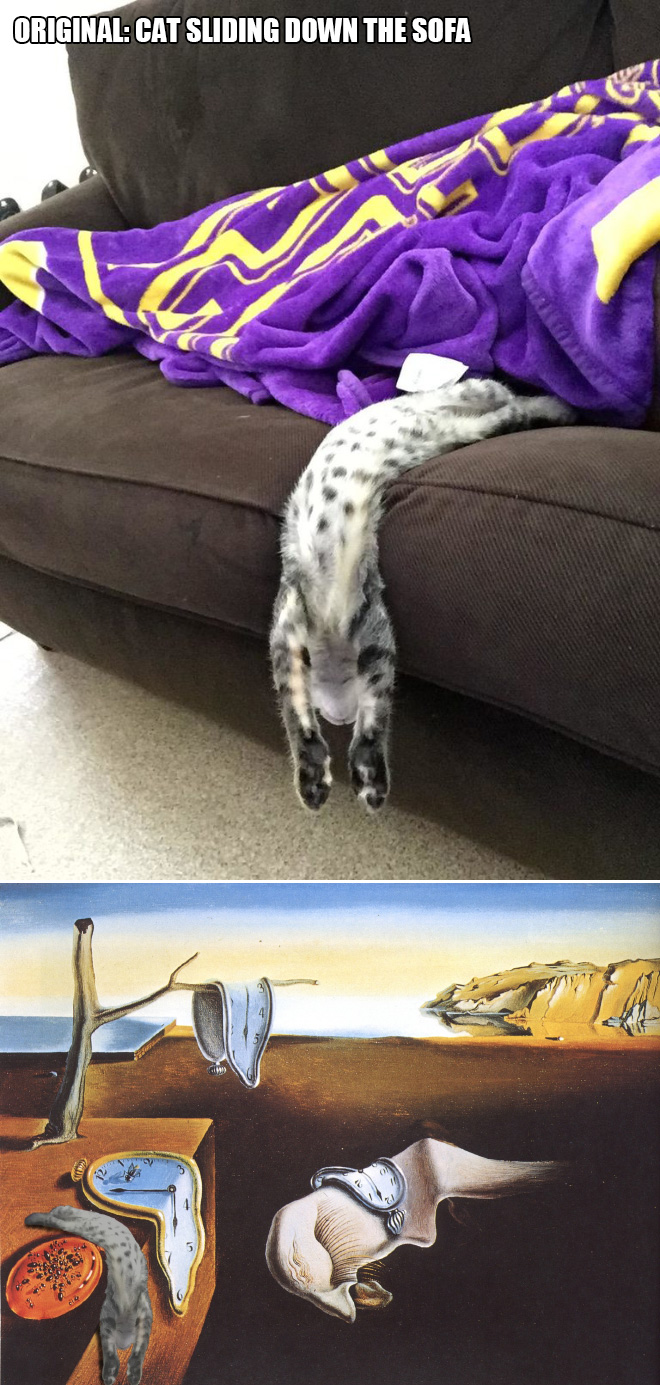 Cat sliding down the sofa.