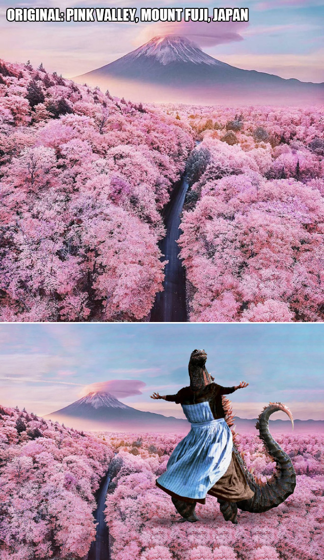 Pink Valley, Mount Fuji, Japan.