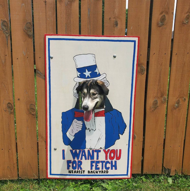 Funny dog fence window art.