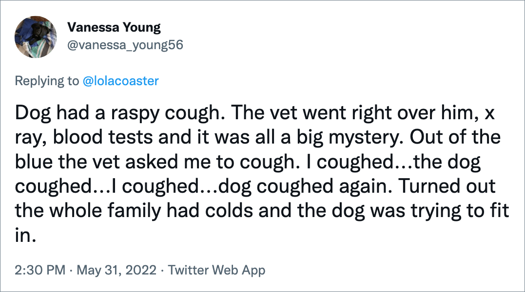 Dog had a raspy cough. The vet went right over him, x ray, blood tests and it was all a big mystery. Out of the blue the vet asked me to cough. I coughed...the dog coughed...I coughed...dog coughed again. Turned out the whole family had colds and the dog was trying to fit in.