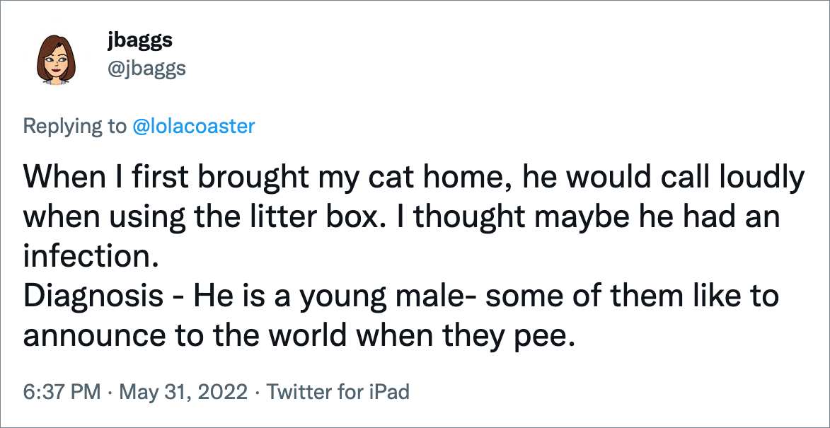 When I first brought my cat home, he would call loudly when using the litter box. I thought maybe he had an infection. Diagnosis - He is a young male- some of them like to announce to the world when they pee.