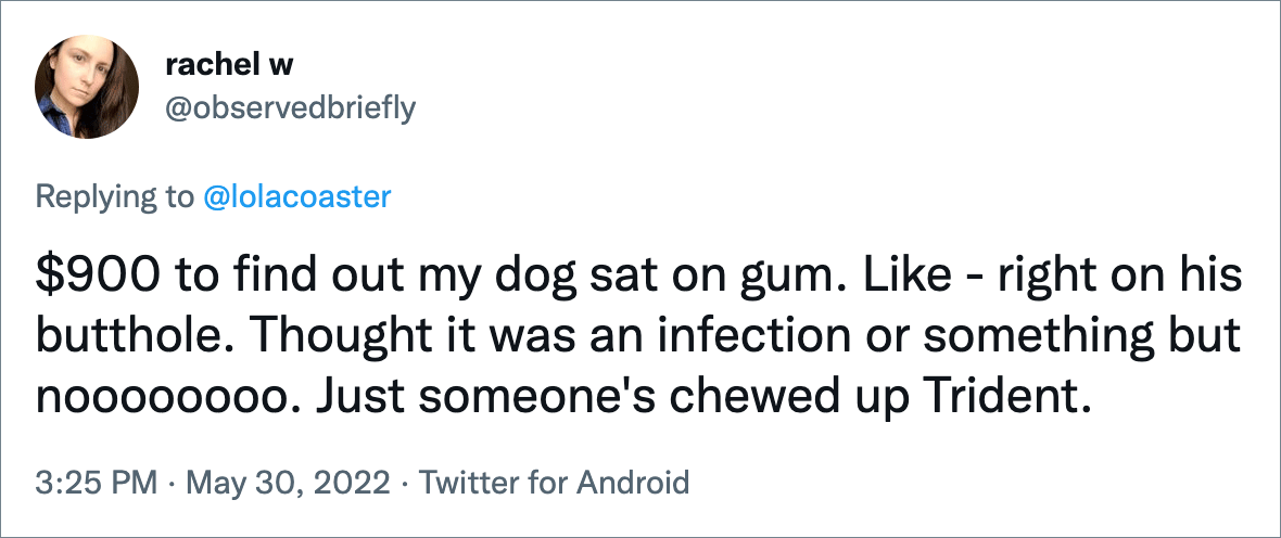 $900 to find out my dog sat on gum. Like - right on his butthole. Thought it was an infection or something but noooooooo. Just someone's chewed up Trident.