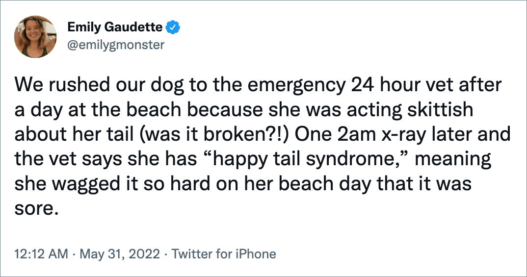 We rushed our dog to the emergency 24 hour vet after a day at the beach because she was acting skittish about her tail (was it broken?!) One 2am x-ray later and the vet says she has “happy tail syndrome,” meaning she wagged it so hard on her beach day that it was sore.