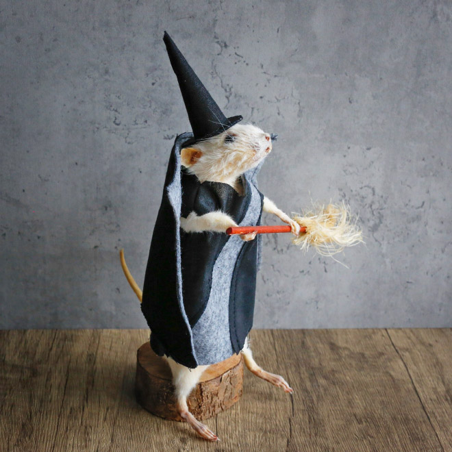 Taxidermy mouse doing stuff.