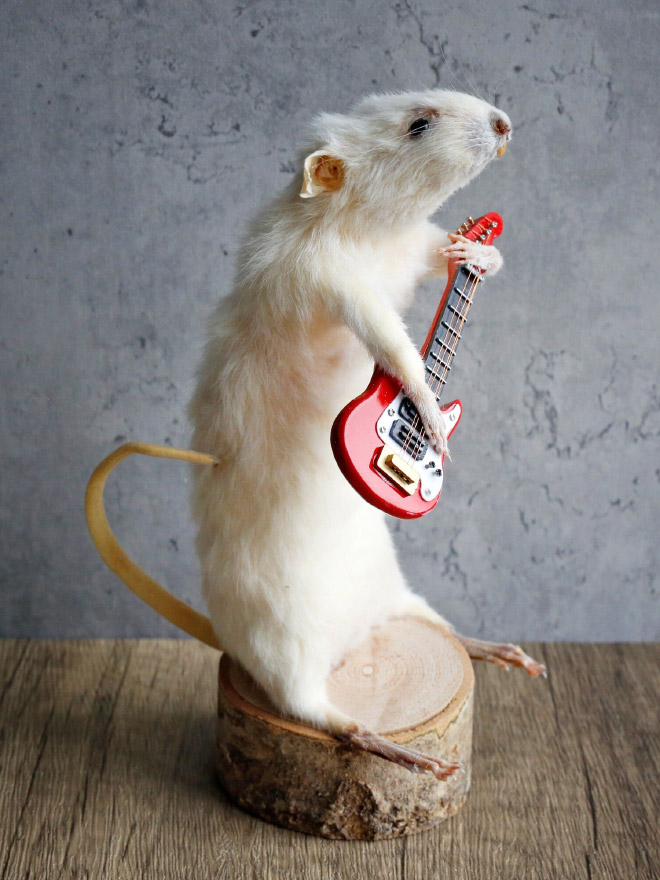 Taxidermy mouse doing stuff.