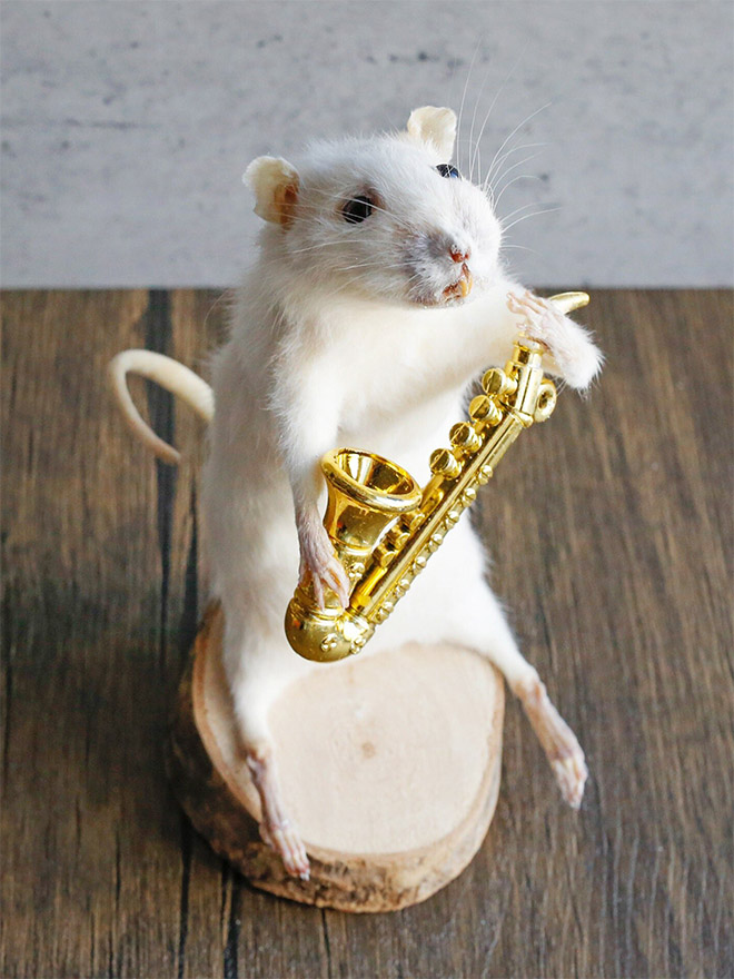 Taxidermy mouse doing stuff.