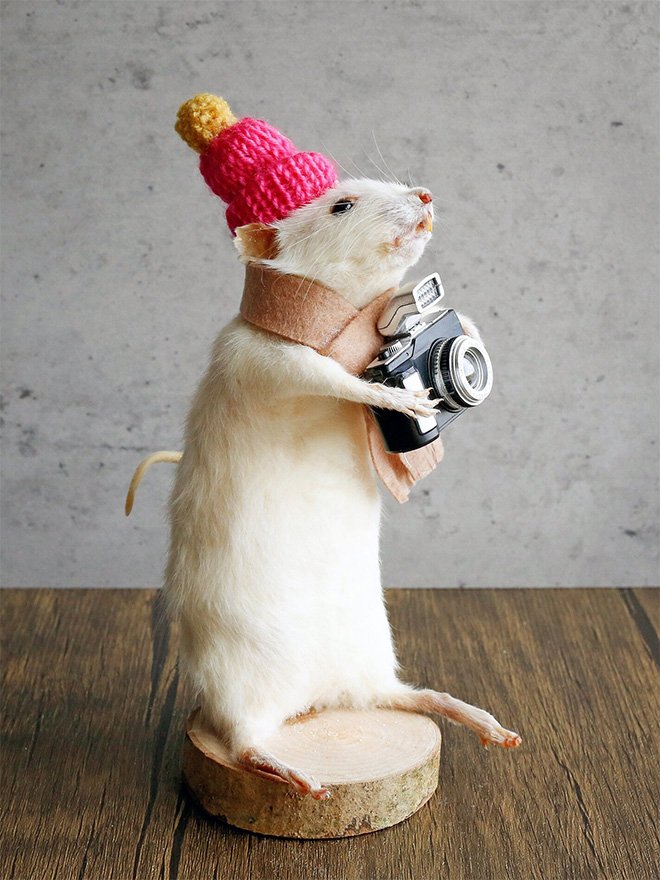 Taxidermy mouse doing stuff.
