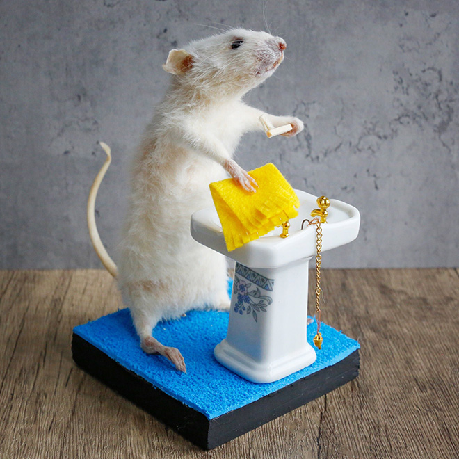 Taxidermy mouse doing stuff.