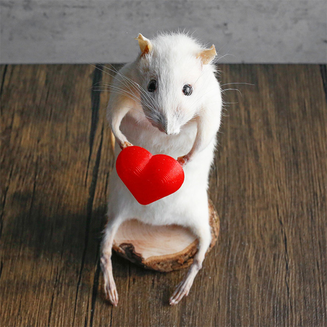 Taxidermy mouse doing stuff.