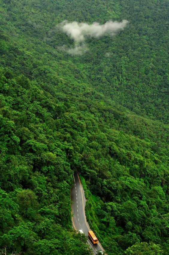 Wayanad, Kerela - A Lush Green Hidden Gem in India