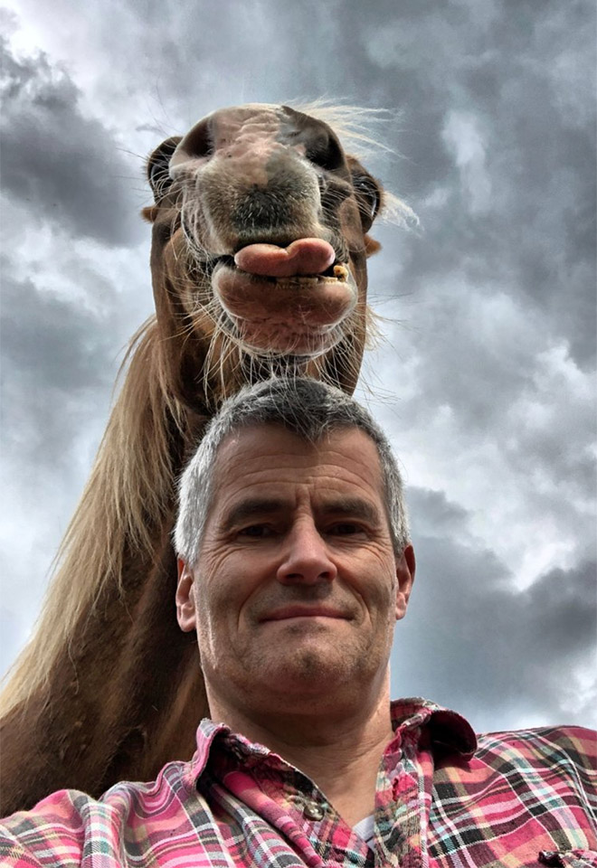 Funny photo with a horse.