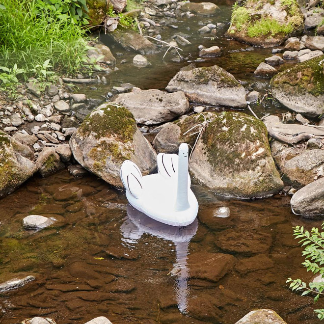 Ridiculous Inflatable Swan-Thing by David Shrigley