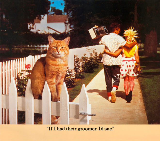 Morris The Cat from the 1986 calendar.